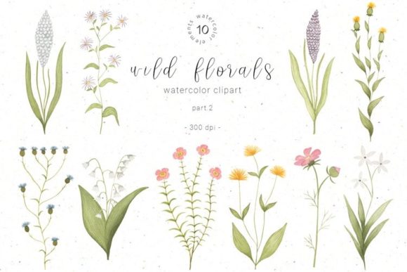Download Watercolor Wildflower Botanical Clipart - Botanical clipart Collection
